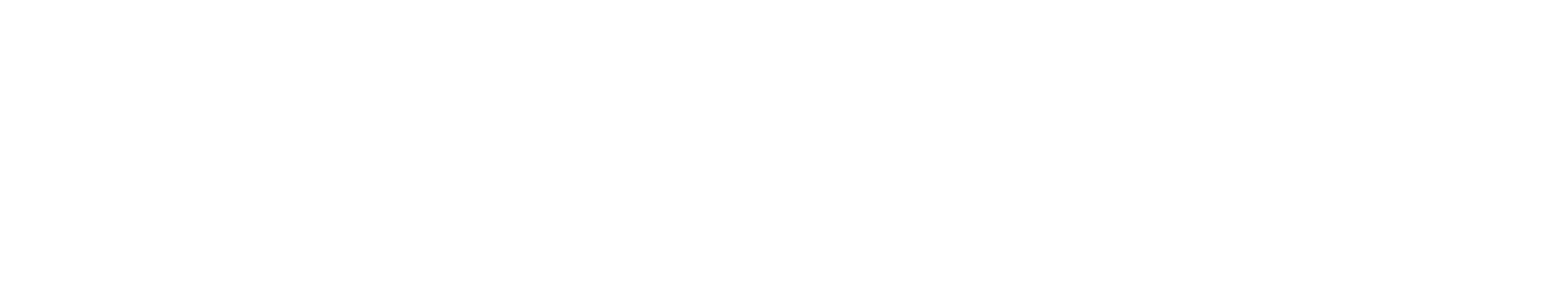 Nxylon Logo
