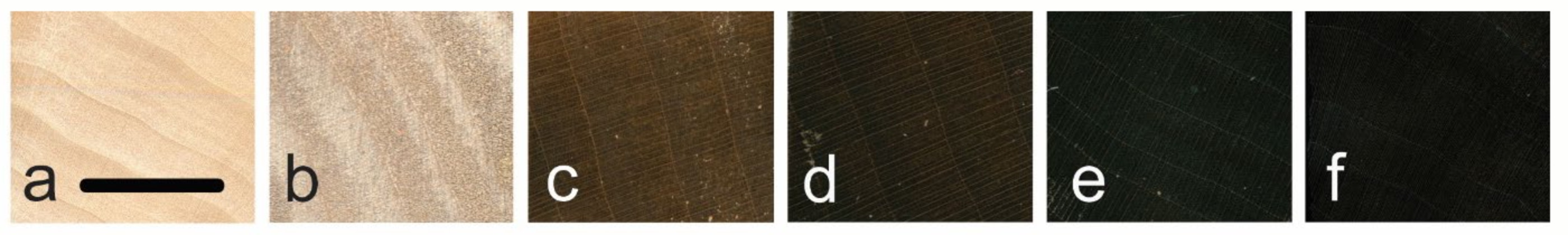 Nxylon Wood Samples Comparison